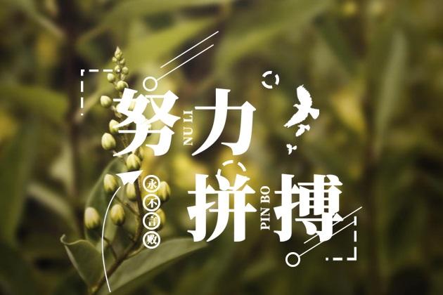  給我一份信任，還你10分滿意(圖3)